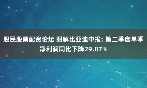 股民股票配资论坛 图解比亚迪中报: 第二季度单季净利润同比下降29.87%