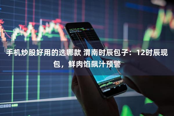 手机炒股好用的选哪款 渭南时辰包子：12时辰现包，鲜肉馅飙汁预警