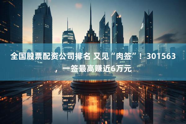 全国股票配资公司排名 又见“肉签”!301563,一签最高赚近6万元